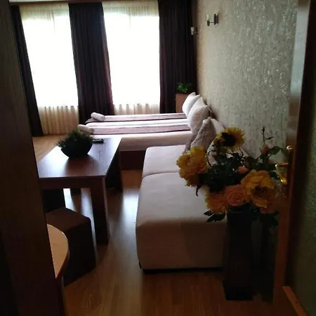 Guest house роси *