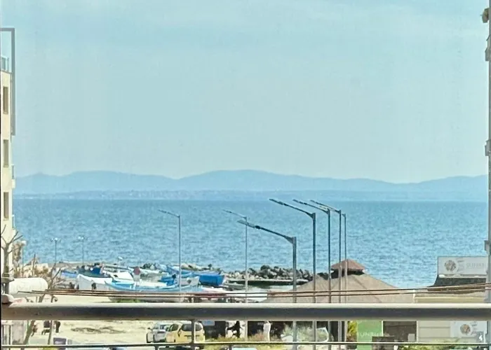 招待所 роси 帕莫瑞