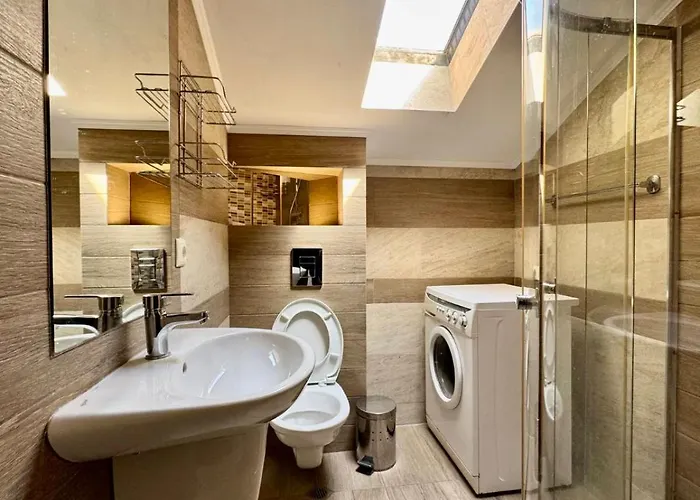 роси 招待所 帕莫瑞