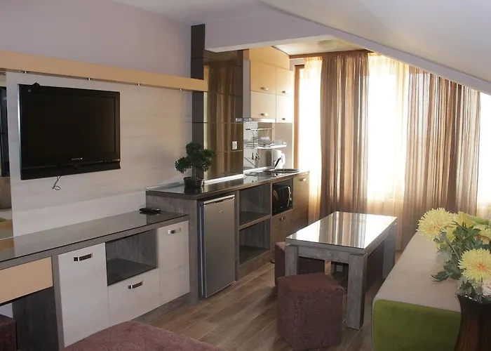 招待所 роси 帕莫瑞